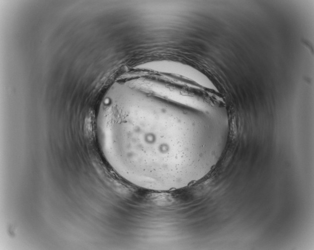 X0000102380424200808291405