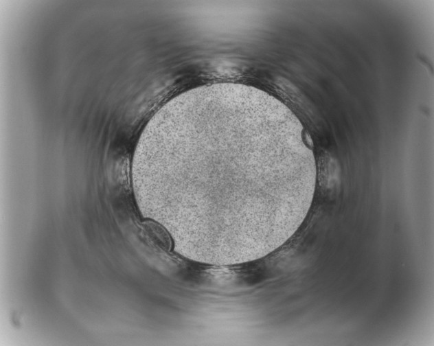 X0000102380425200808291405