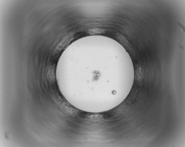 X0000102380426200808291405