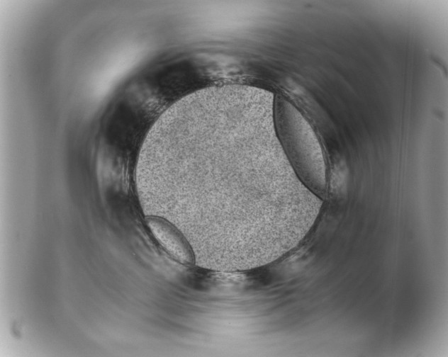 X0000102380429200808291405