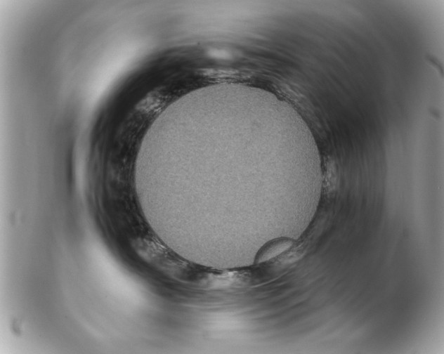 X0000102380430200808291405