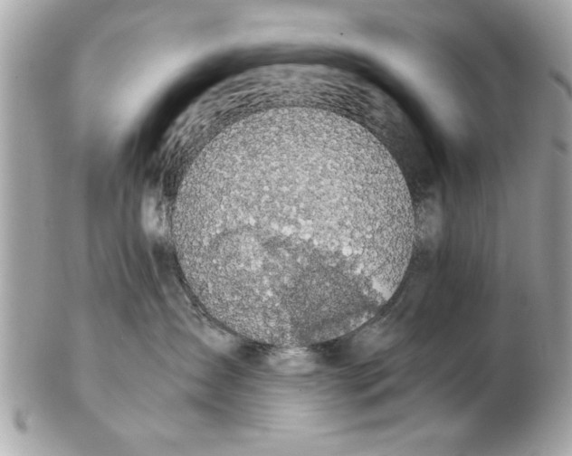 X0000102380431200808291405