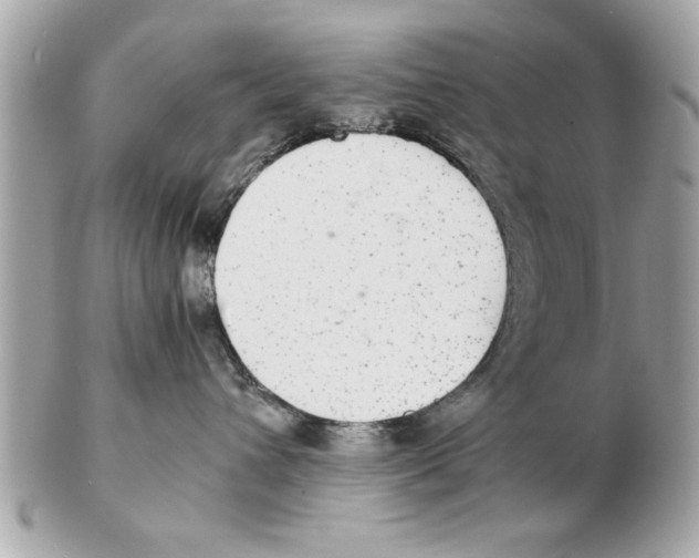 X0000102380432200808291405