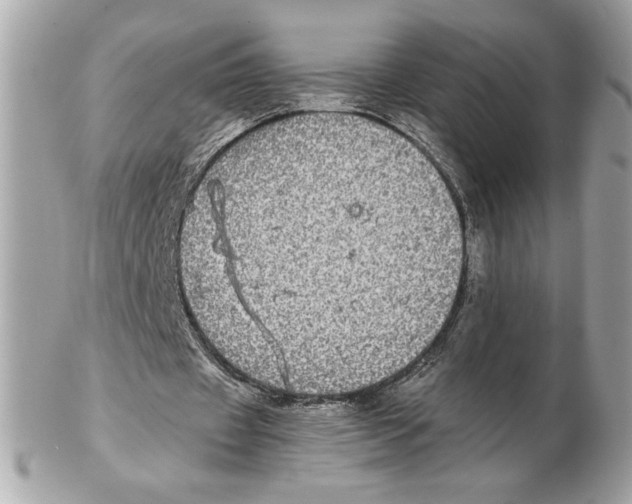 X0000102380433200808291404