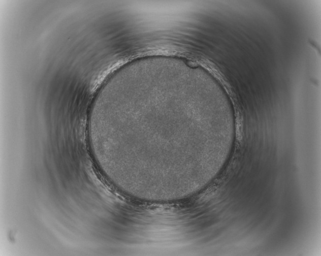 X0000102380434200808291404