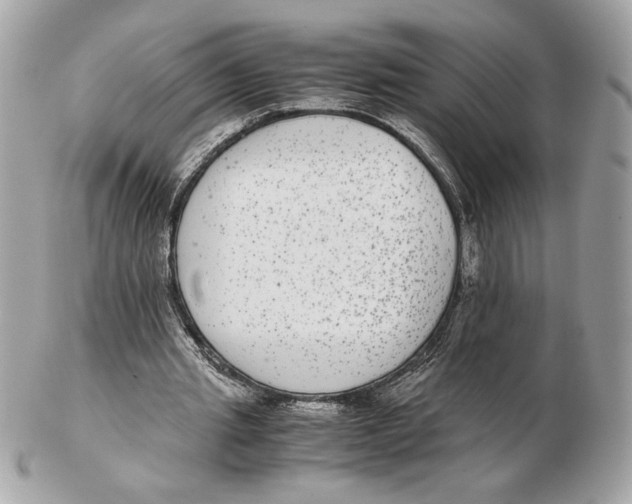 X0000102380437200808291404