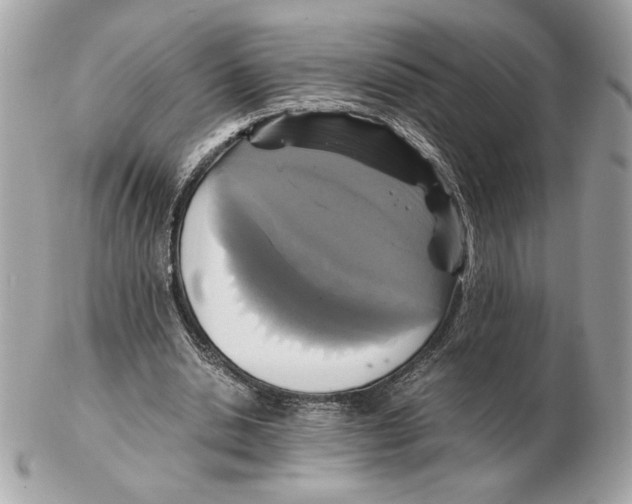 X0000102380438200808291404