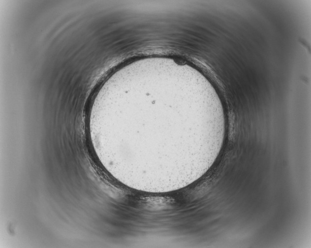 X0000102380439200808291404