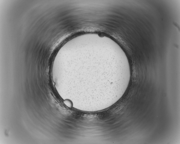 X0000102380440200808291405