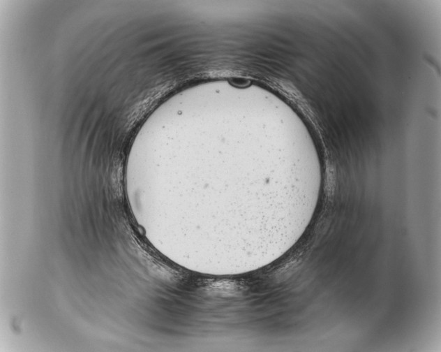 X0000102380441200808291405