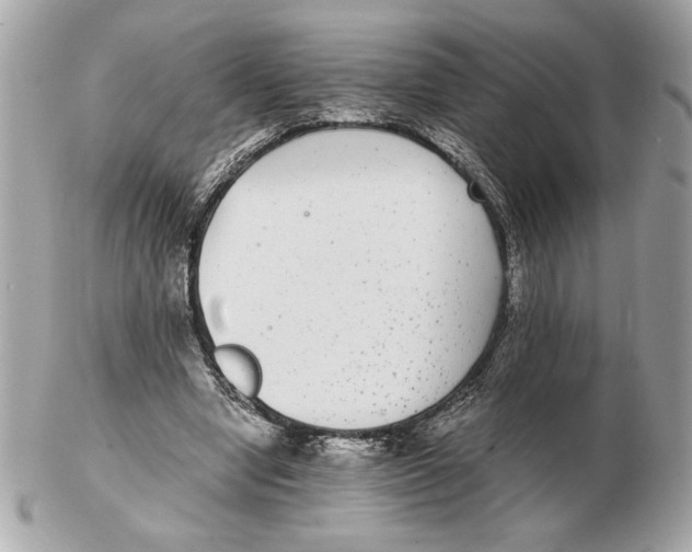 X0000102380442200808291405