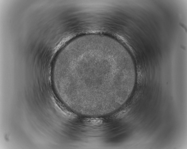 X0000102380443200808291405