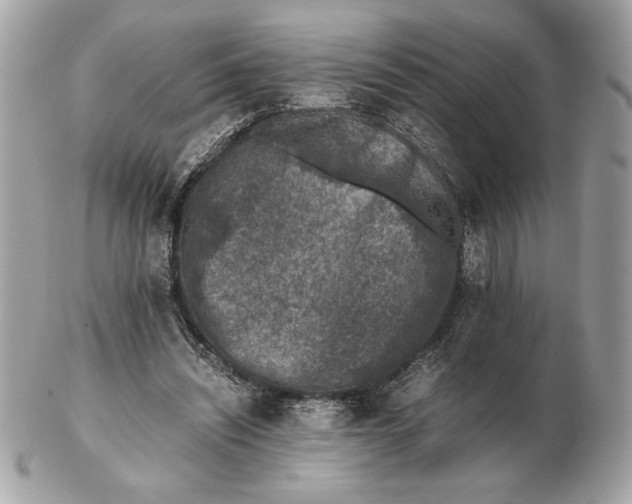 X0000102380444200808291405