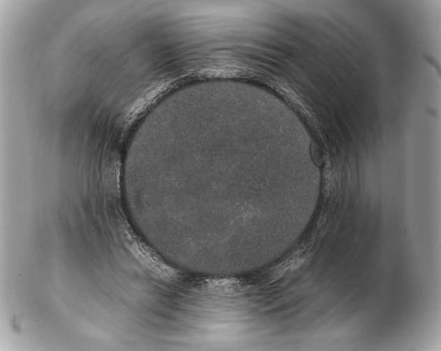 X0000102380446200808291405