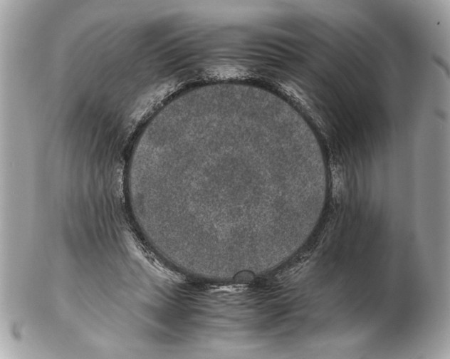 X0000102380447200808291405