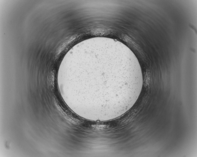 X0000102380448200808291405