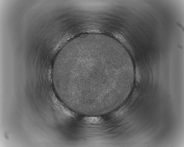 X0000102380449200808291405