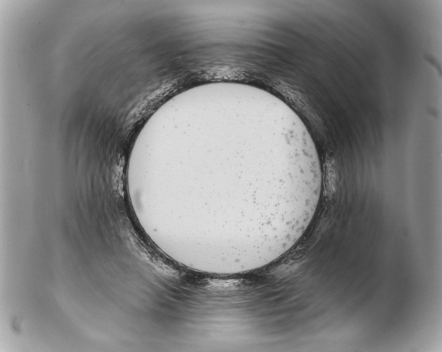 X0000102380450200808291405