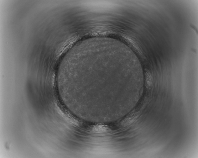 X0000102380451200808291405