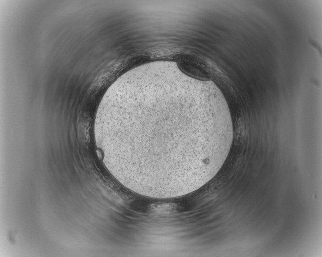 X0000102380452200808291405