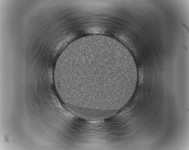 X0000102380453200808291405