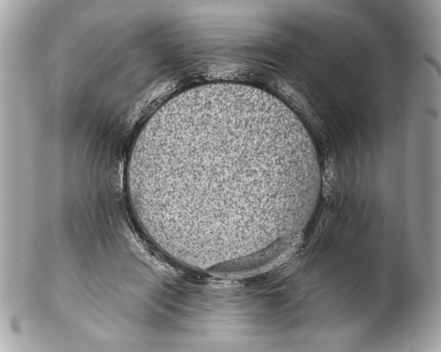 X0000102380454200808291405