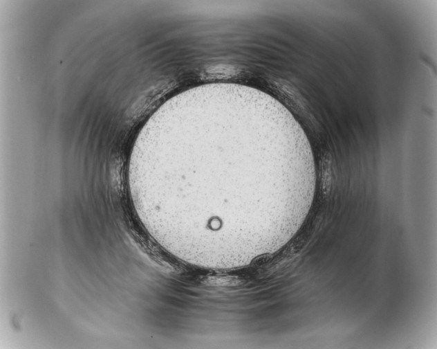 X0000102380455200808291405