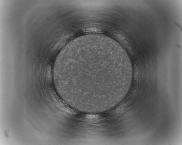 X0000102380457200808291405