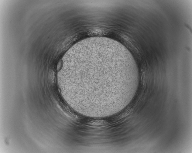 X0000102380459200808291405