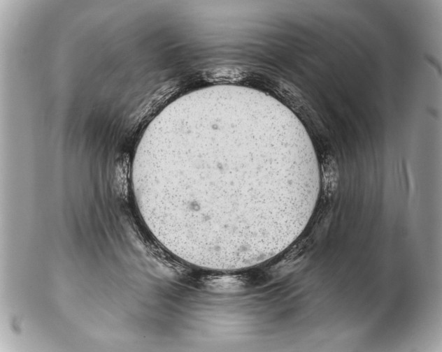 X0000102380460200808291405