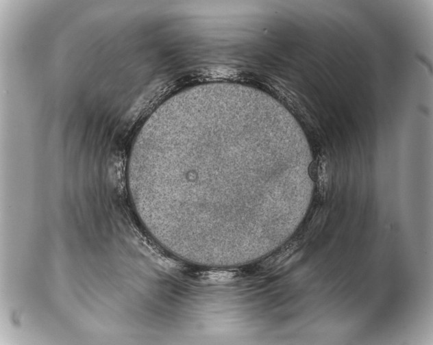 X0000102380462200808291405