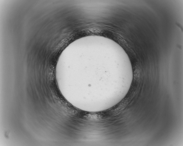 X0000102380464200808291405