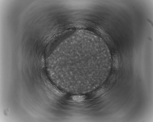 X0000102380465200808291405