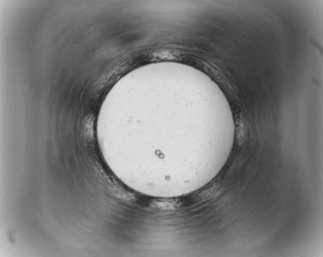 X0000102380466200808291405