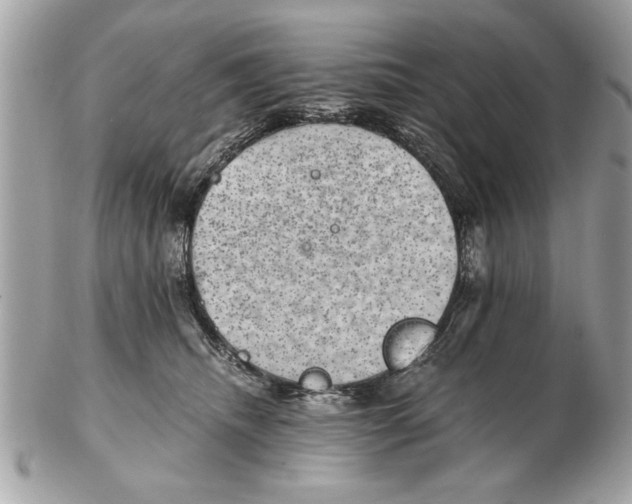 X0000102380468200808291405