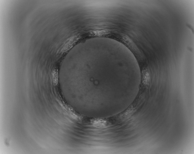 X0000102380471200808291405