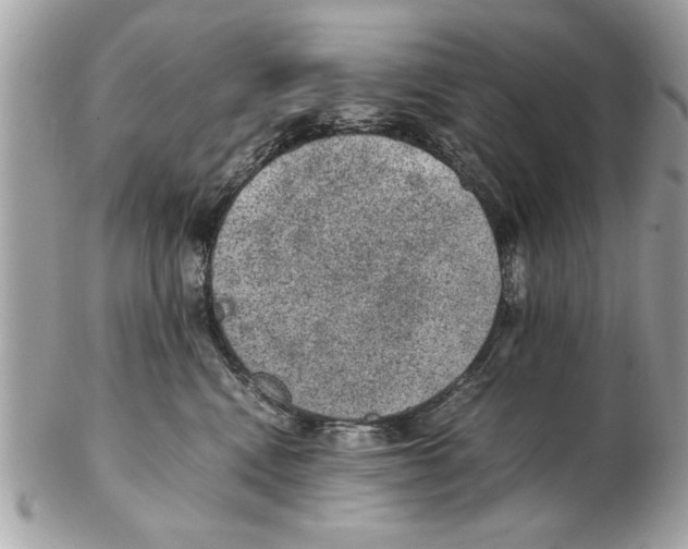 X0000102380472200808291405