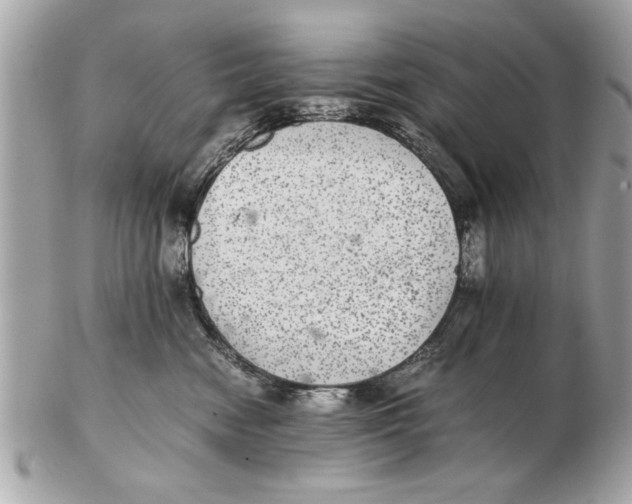 X0000102380474200808291405