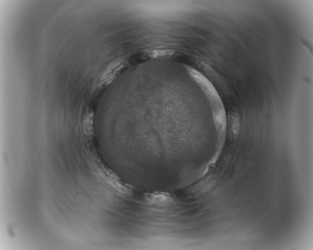 X0000102380475200808291405