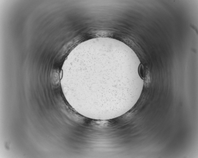 X0000102380478200808291405