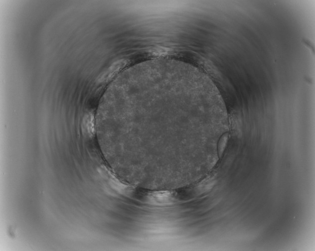 X0000102380479200808291405