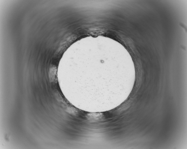 X0000102380480200808291405