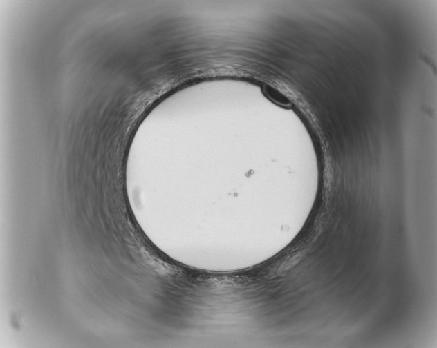 X0000102380481200808291404