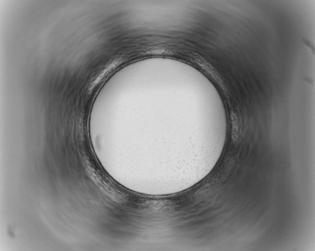 X0000102380482200808291404