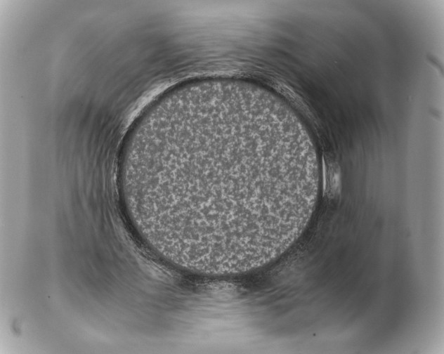 X0000102380483200808291404