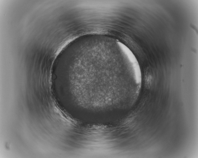 X0000102380484200808291404