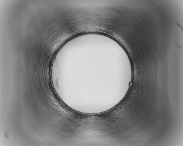 X0000102380485200808291404