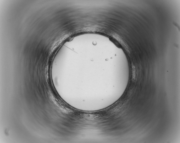 X0000102380486200808291404