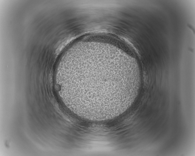 X0000102380487200808291404