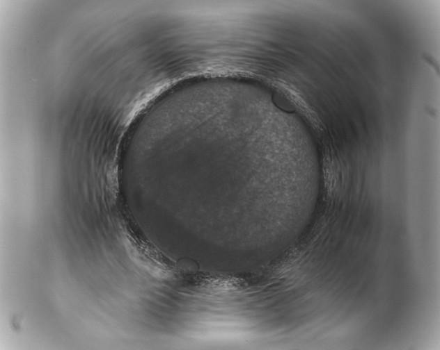 X0000102380488200808291404